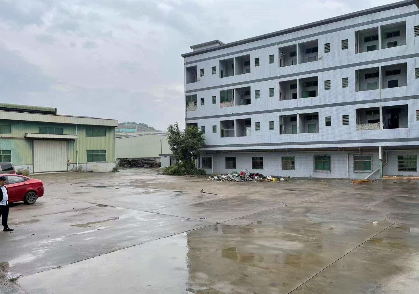 原房东独门独院单一层钢构9米高度4100平方实际面积报价25