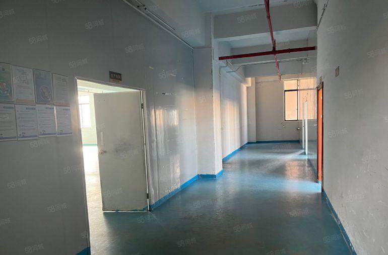 大岭山镇颜屋楼上600平精装修厂房 易招工临近深圳