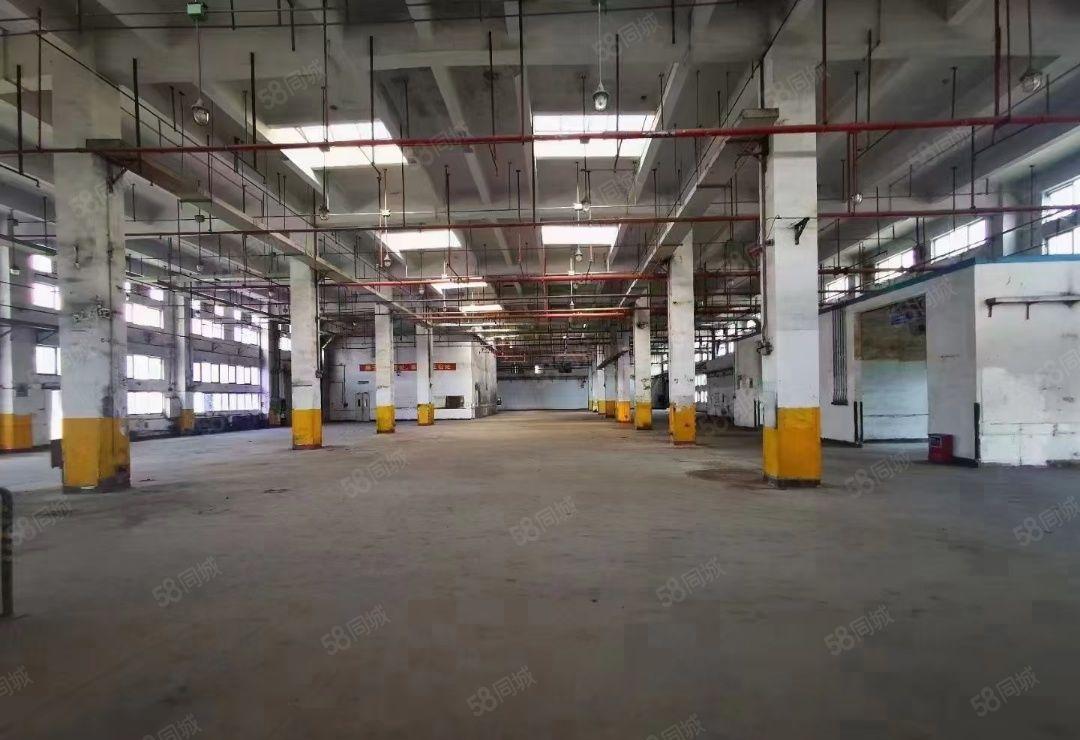 大岭山原房东单一层9200平方，层高10米，可分租