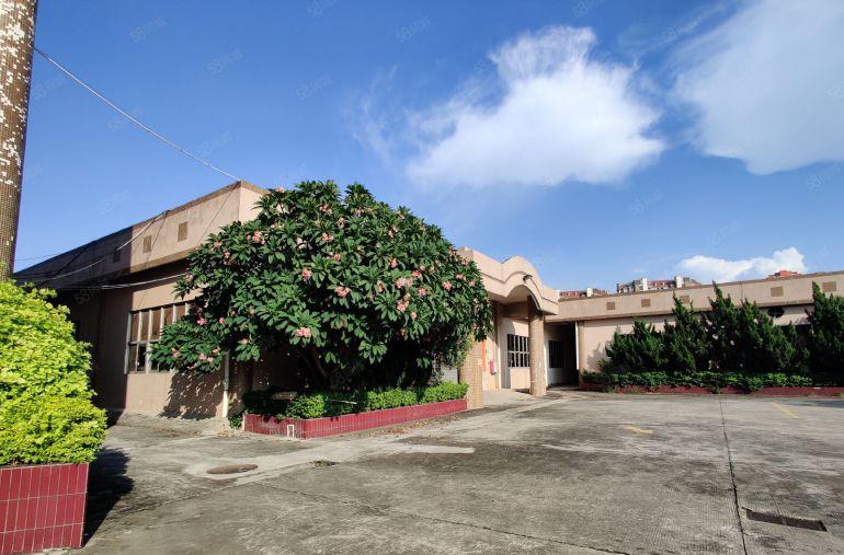 大岭山新出花园式标准一楼独院厂房9000平方空地约5000平