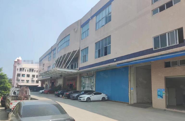 可分租 大岭山新出原房东独院低价厂房出租 带精装修办公室