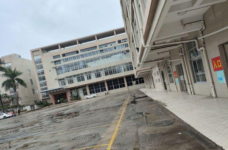 大岭山镇原房东全新标准独院无公摊实量面积出租易招工方正好用