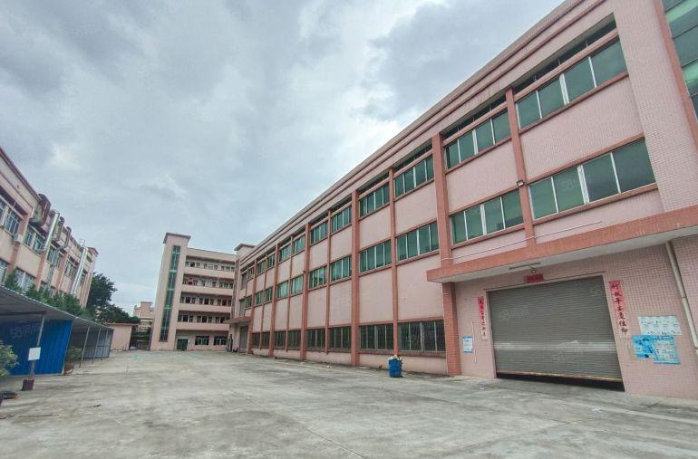 大岭山镇原房东直租独院形象好租金14可分租水电过户现成装修