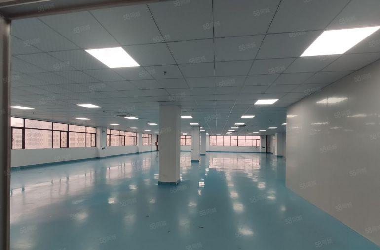 大岭山杨屋新空出三楼1500平现成精装修工业厂房出租