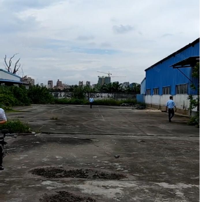 大岭山大沙超大空地厂房出租 高8米 超低价 水电到位