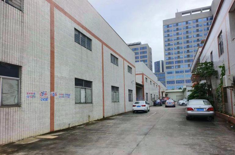 大岭山金桔石大路原房东2600平方砖墙到顶钢结构厂房出租