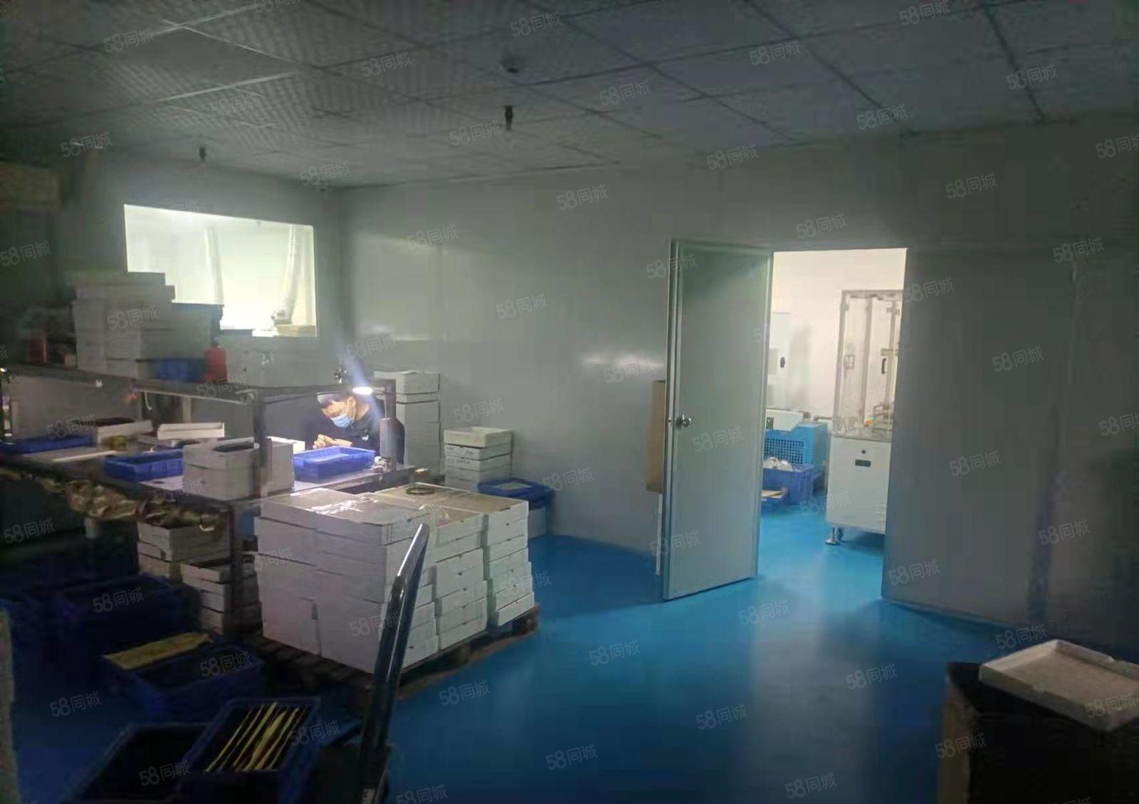 高大上  大岭山镇园区出租1250平厂房精装修办公室可办环评