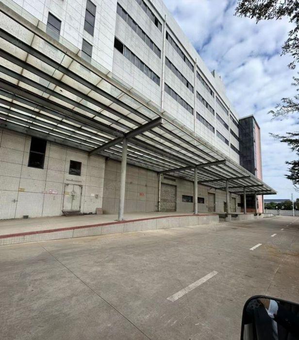 大岭山花园式标准厂房独院厂房分租，空地超大