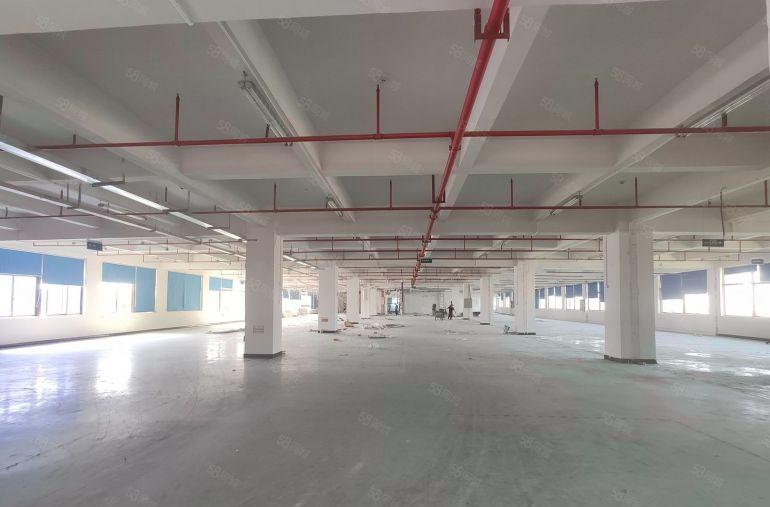 大岭山杨屋三楼5000平方精装修厂房出租