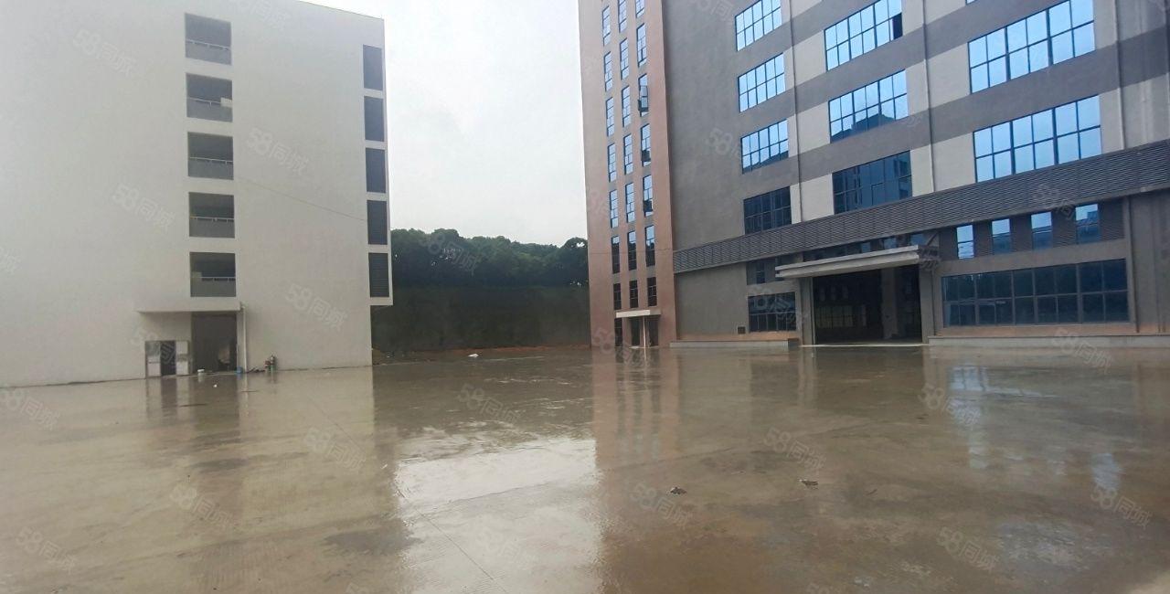 500平起原房东无公摊临深大岭山独院2万平厂房仓库出租