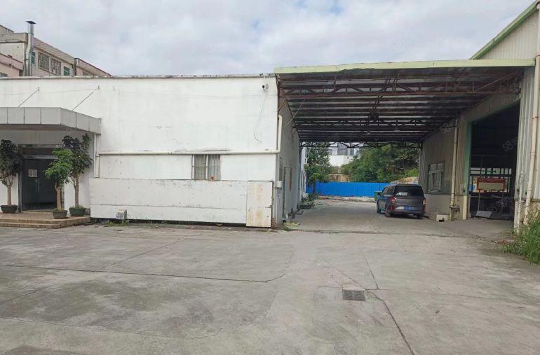 独院 大岭山原房东出租10米1500平厂房2000平硬化空地