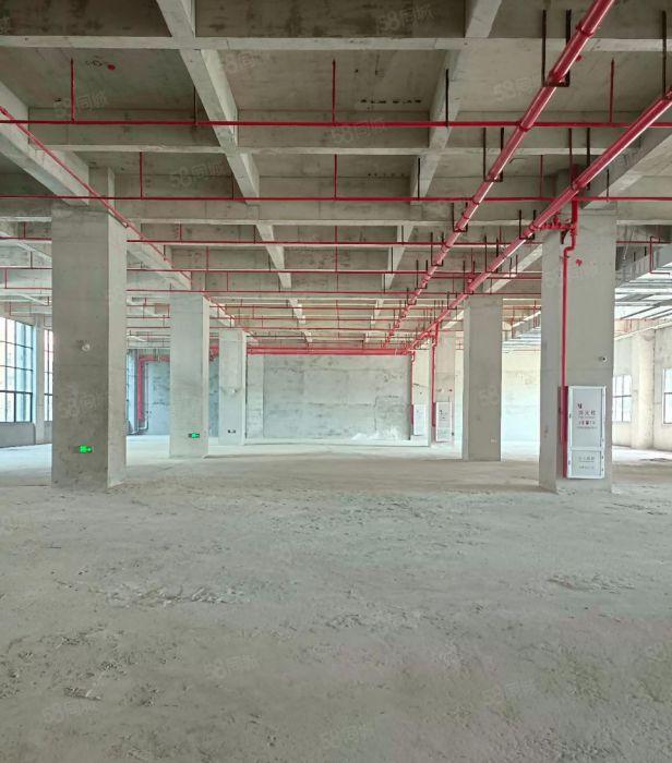 大岭山镇原房东标准新工业园4000方可分租