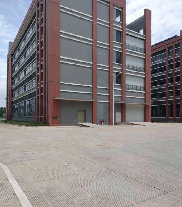 大岭山镇原房东标准新工业园4000方可分租