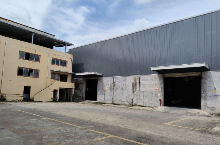 大岭山厂房新出单一层钢构6000平方，高度8米原房东实际面积