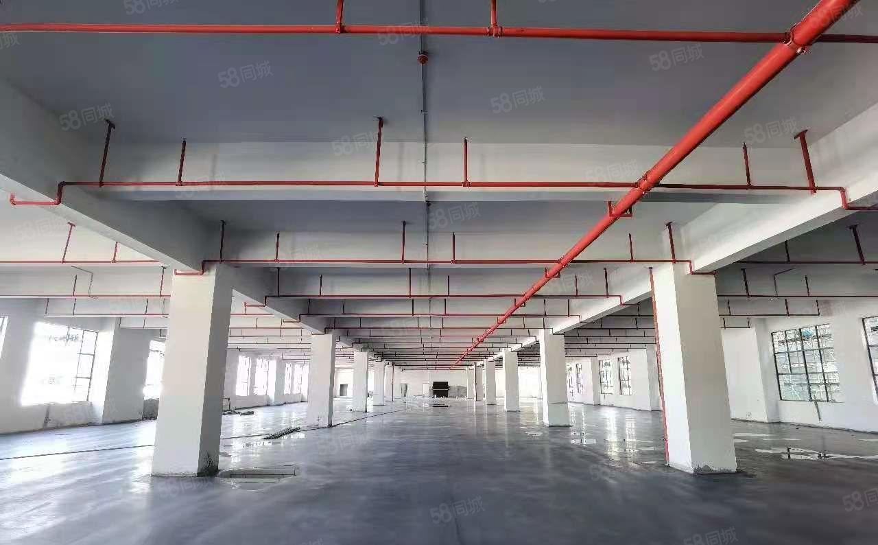 大岭山杨屋原房东全新厂房整栋每层3000平方厂房出租！