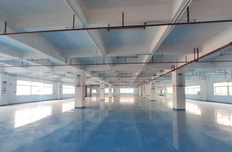 大岭山杨屋二楼1800平全新精装修工业厂房出租