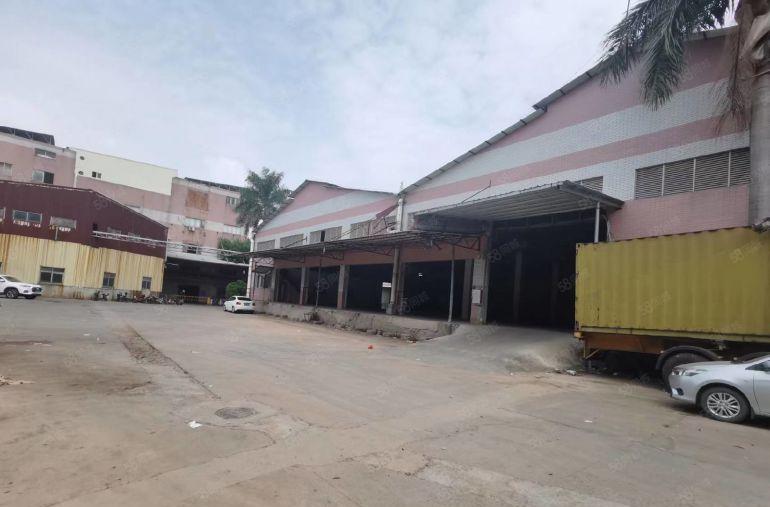 大岭山杨屋带卸货平台单一层钢构低价厂房出租2000平滴水8米