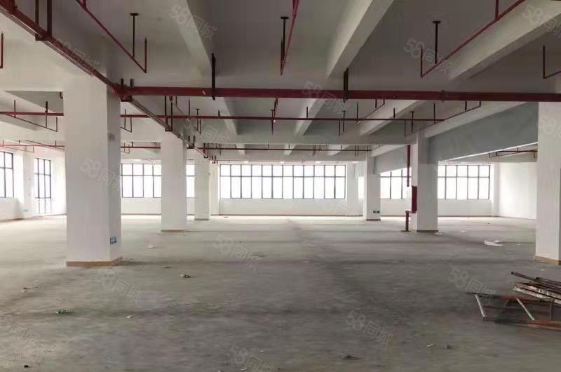 大岭新建双证厂房 可办环评！厂房面积30000平层高7.5米