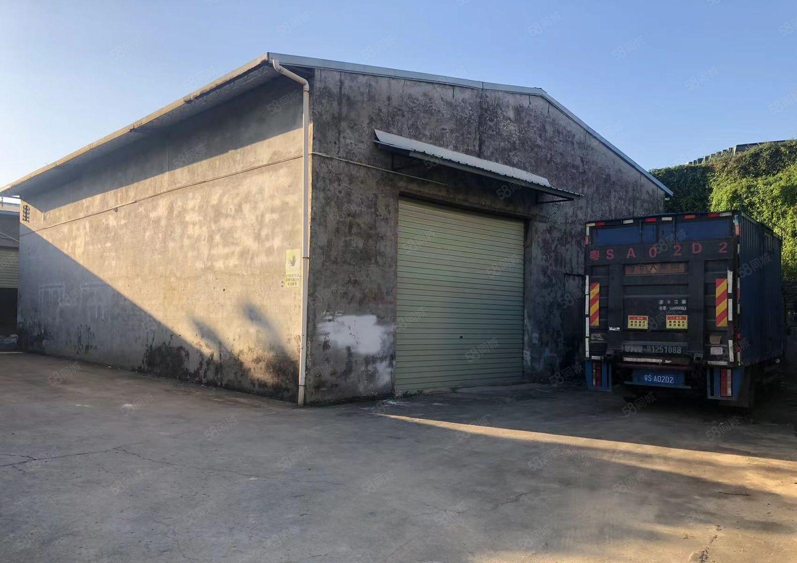 大岭山新塘600平原房东独独院单一层钢构厂房出租