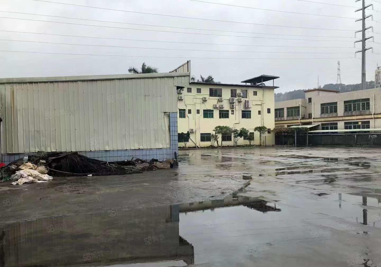 大岭山临深区域原房东独门独院，超大空地3000平