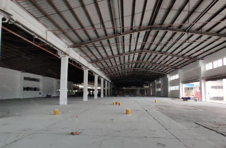 百花洞厚大路边新出钢构厂房4500平方，不限行业低价出租