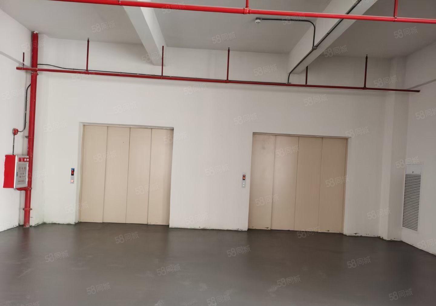 大岭山 杨屋临深大型工业园厂房5000平起分上市公司形象标准