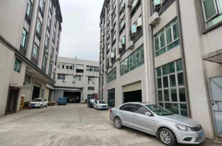 原房东 大岭山杨屋村标准1楼实量面积800平厂房出租