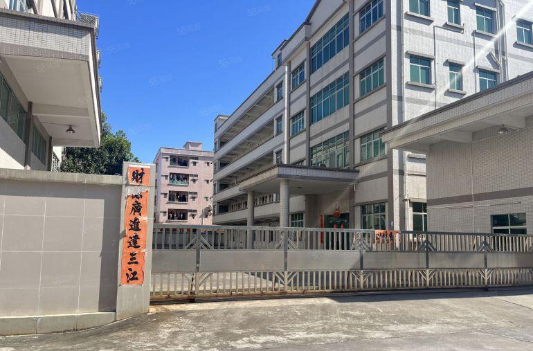 大岭山新出标准独院上市公司形象空地大带独栋豪华办公室带牛角位