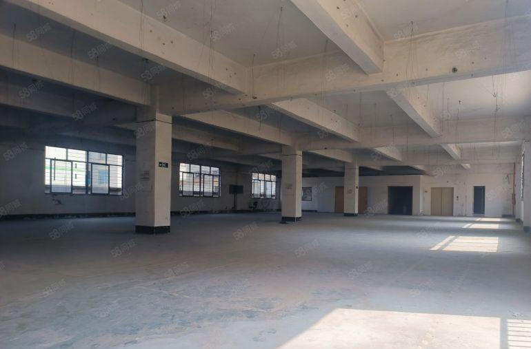 大岭山镇杨屋村原房东小面积标准3层1500平低价厂房出租