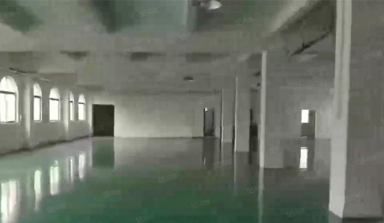 大岭山杨屋高速口附近 现成精装修厂房出租 超低价 可分租