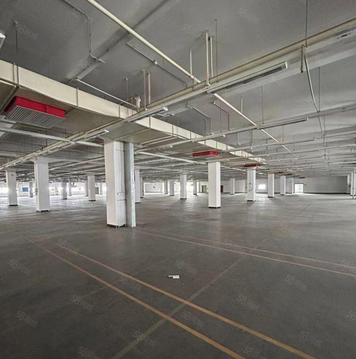 大岭山高大上形象标准厂房出租装修600万现成的不用再铺电线