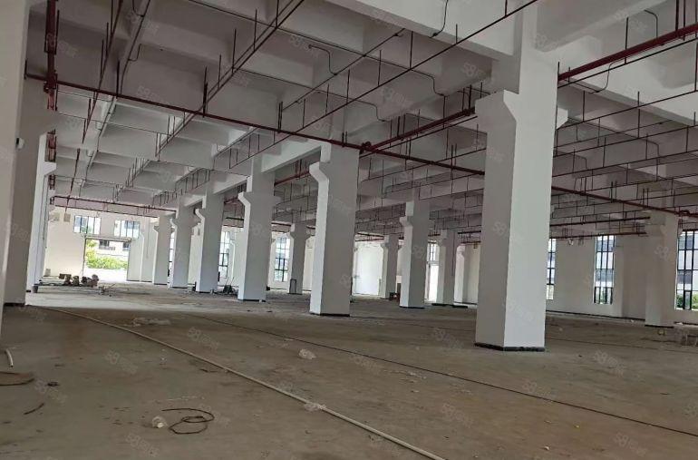 大岭山靠松山湖原房东独院厂房出租新出红本产业园一楼9.5米高