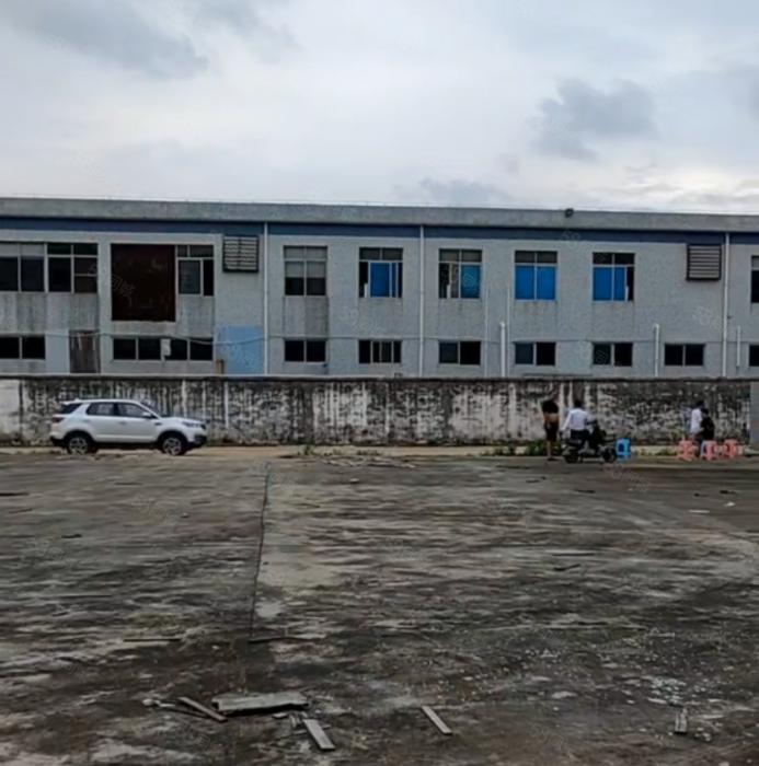 大岭山大沙超大空地厂房出租 高8米 超低价 水电到位