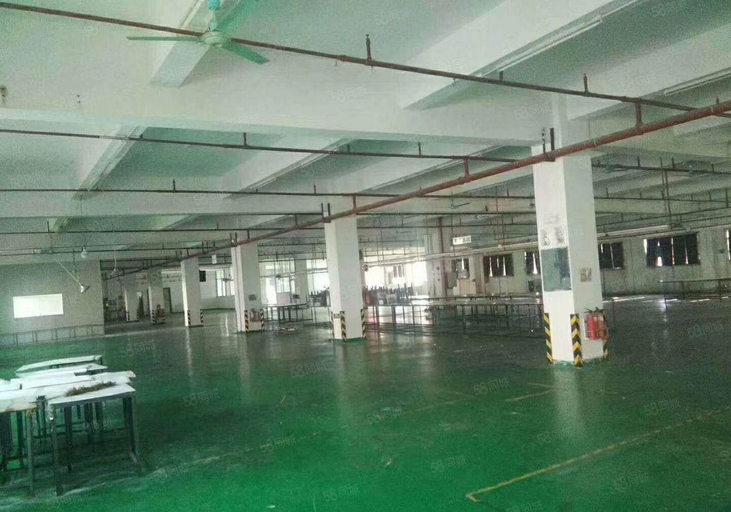 大岭山独院厂房招租原房东标准三层3000平电子五金厂房出租