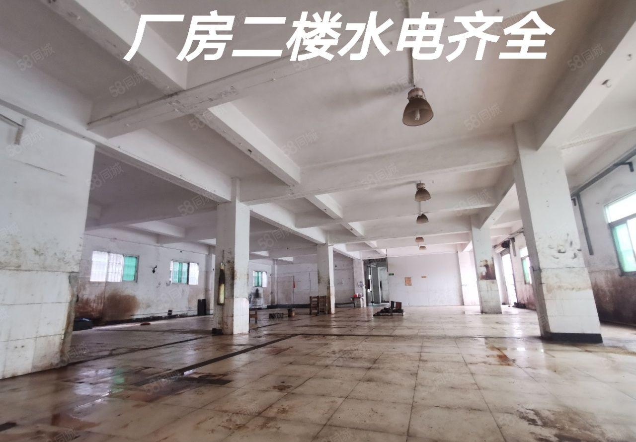 大岭山镇新出独栋小三层标准厂房2000平方出租，不限电！