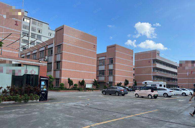 大岭山镇颜屋原房东标准一楼800平现成办公室水电齐全上市形象