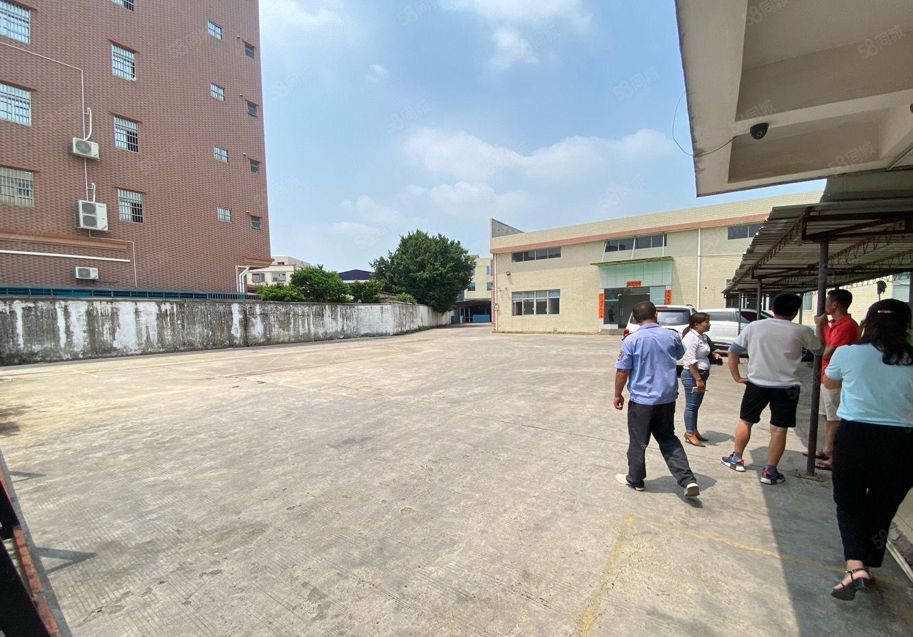 大岭山新出靓独院空大超大高进大车，带牛角位滴水八米可五金设备