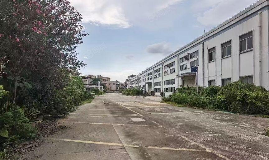 大岭山原房东单一层9200平方，层高10米，可分租