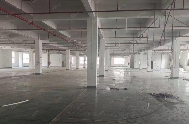 可分租 大岭山新出原房东独院低价厂房出租 带精装修办公室