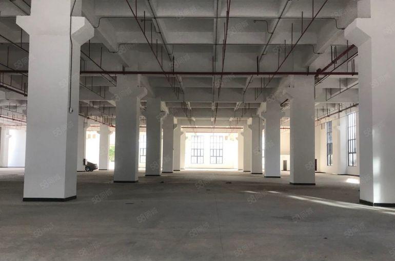 大岭山全新重工业厂房 一手房东实际面积空地超大交通便利好招工