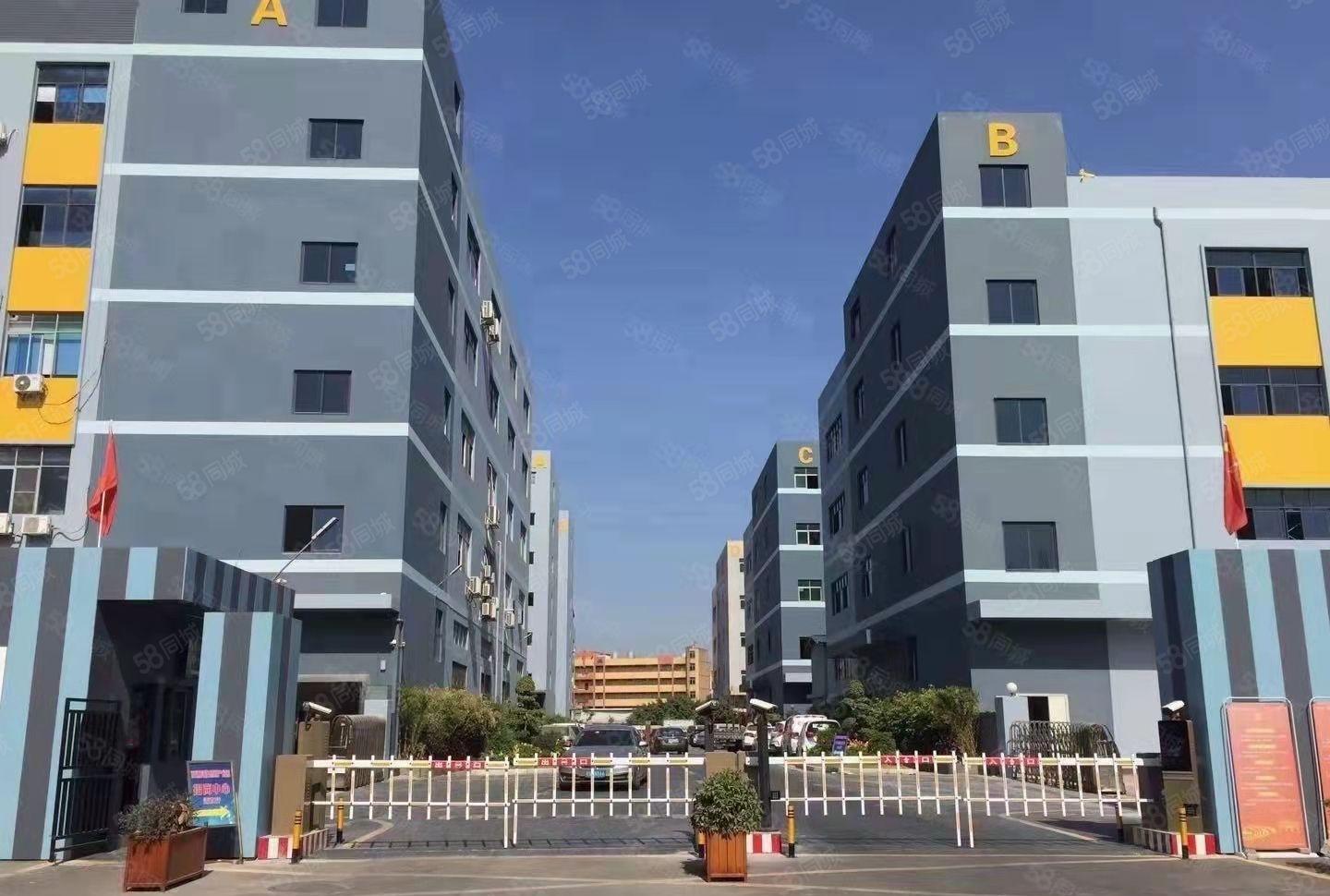 原房东直租 杨屋村新空出现成精装修厂房分租 可办环坪拎包入驻