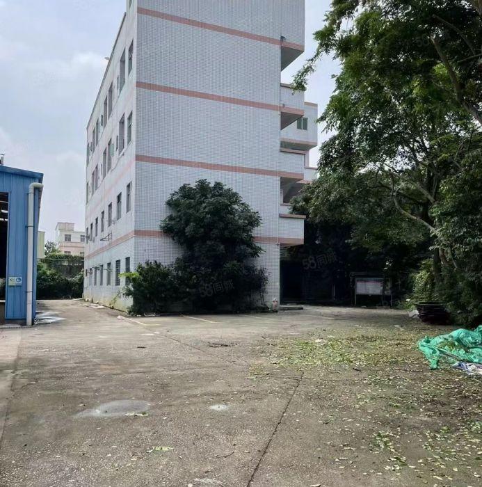 大岭山镇原房东钢钩单一层独门独院带现成航车空地超大周边无居民