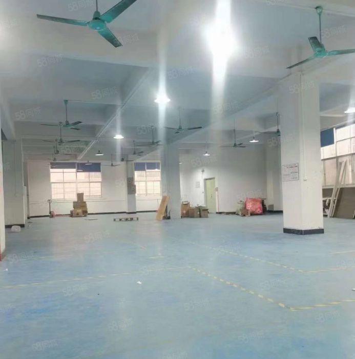 大岭山杨屋2楼700平小面积厂房出租精装修办公室地坪漆配套齐