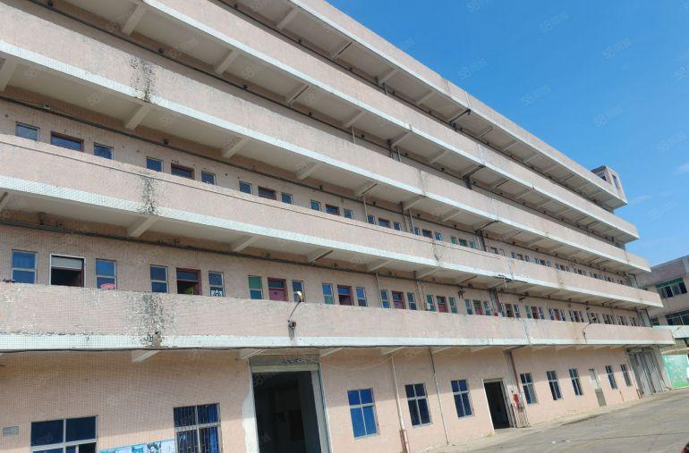 大岭山镇国道边村委厂房二楼2650平，现成无尘车间，水电齐全