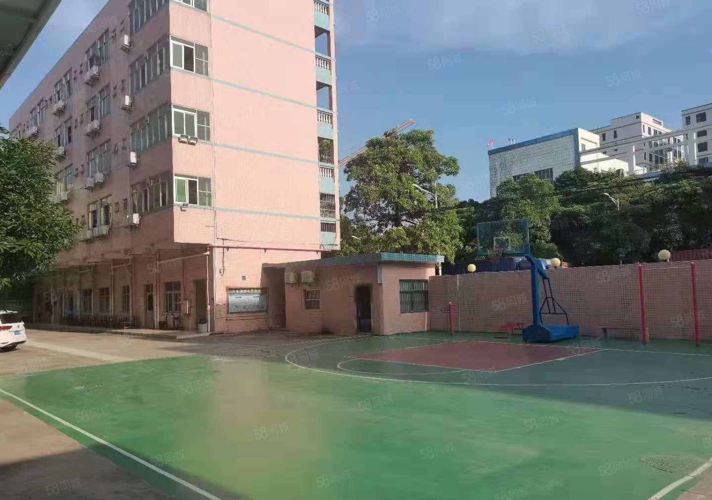 （可办环坪）大岭山大塘村原房东独门独院4000平厂房分租