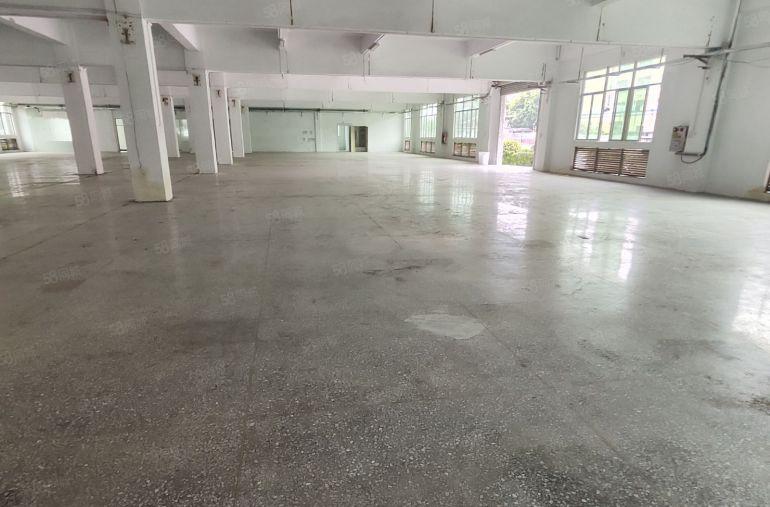 大岭山镇杨屋独门独院厂房出租，超大空地，高速近，零公摊易招工