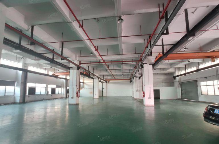 一楼1500平18块带航车 大岭山杨屋低价工业厂房出租