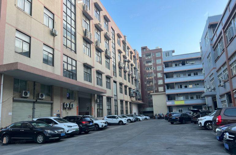 大岭山镇金桔村楼上2200平精装修 石大路边上 好招工