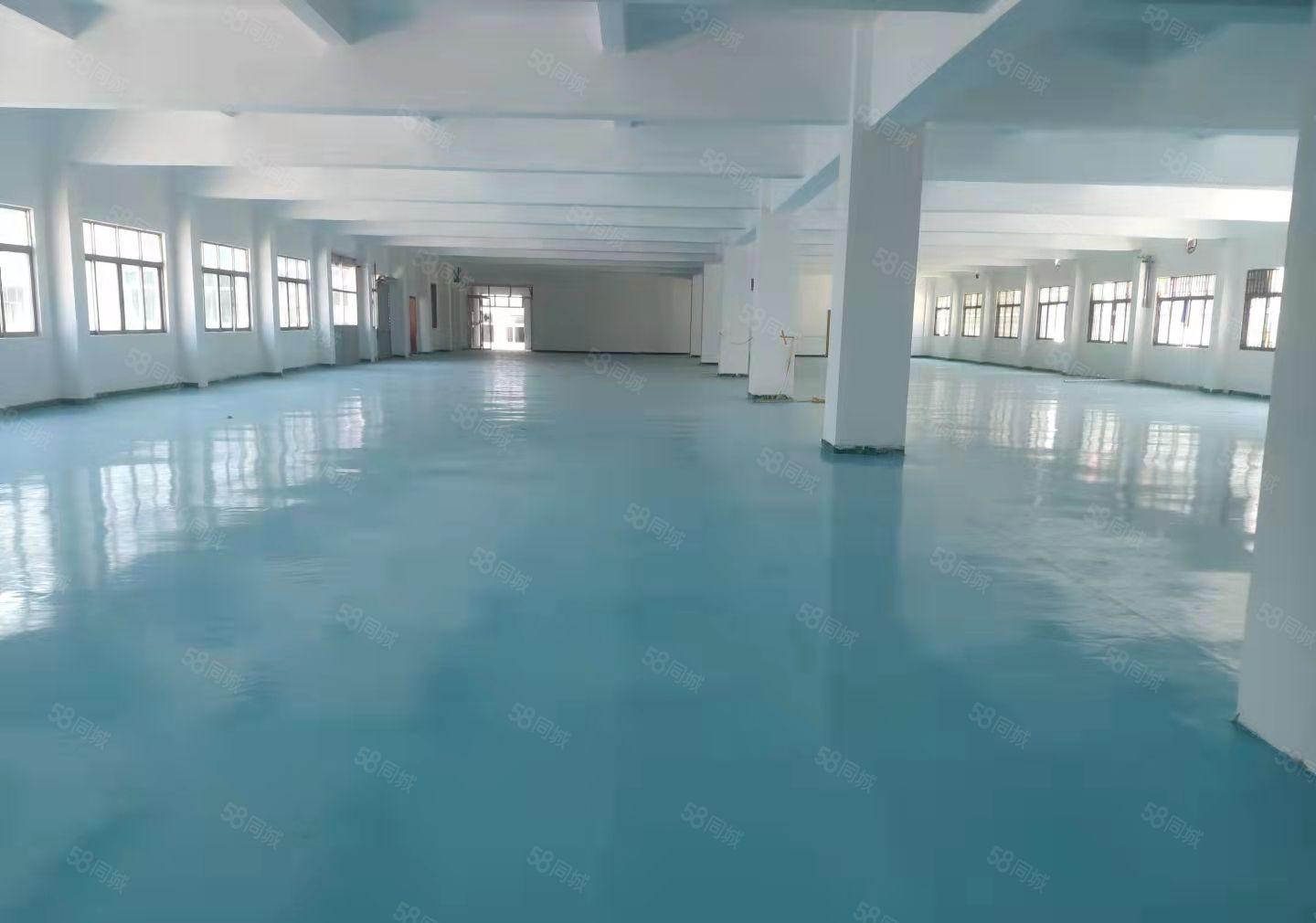 杨屋工业区空出楼上2000平现成办公室装修厂房出租