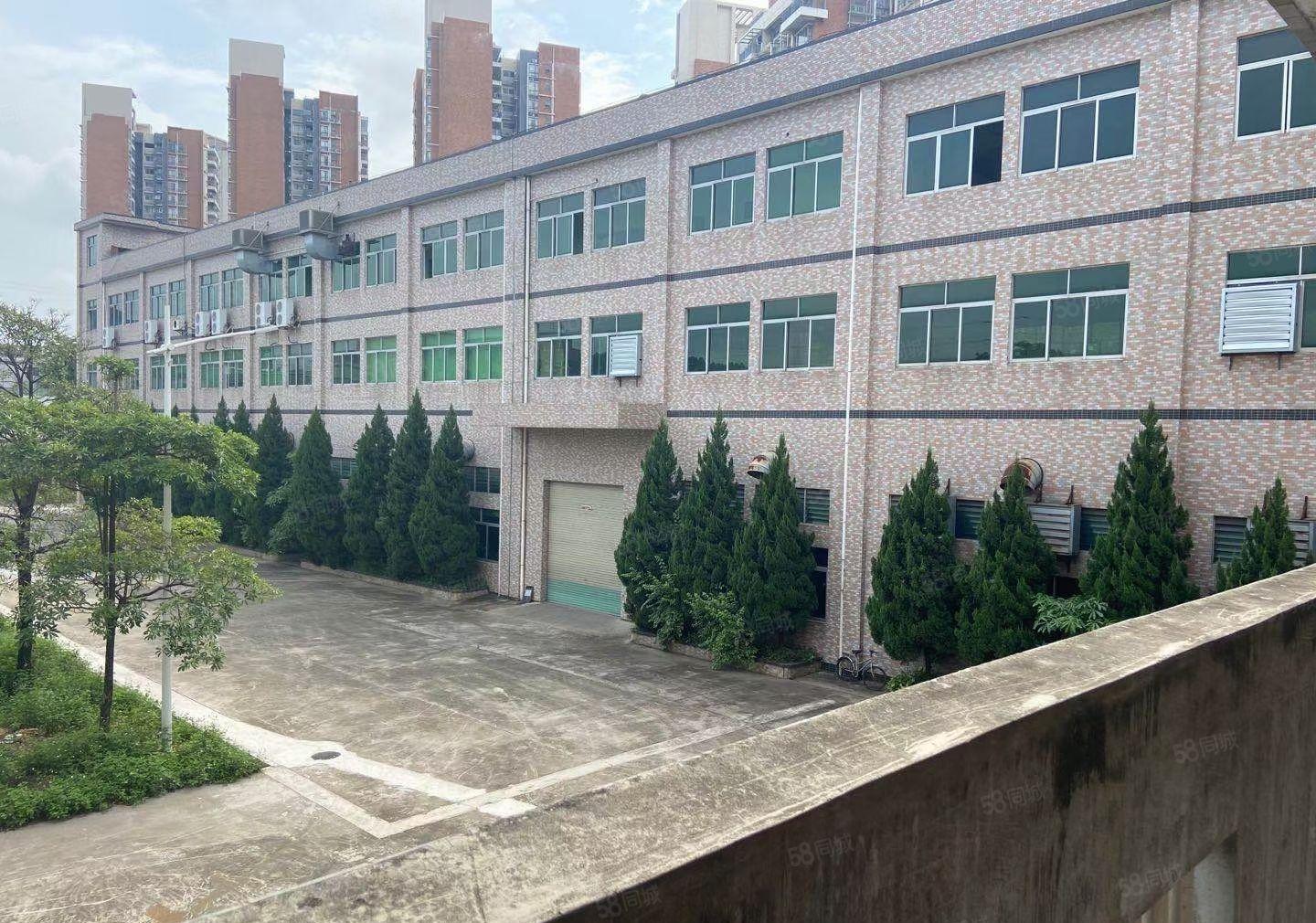 大岭山森林公园旁新出一楼厂房招和1680平6米高主线拉到车间